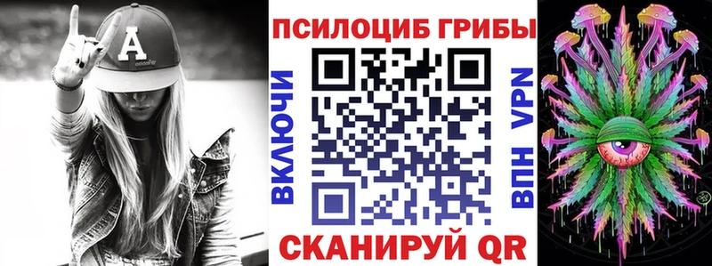 Купить  Россошь  Псилоцибиновые грибы мицелий 